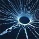 Blackhole PHP